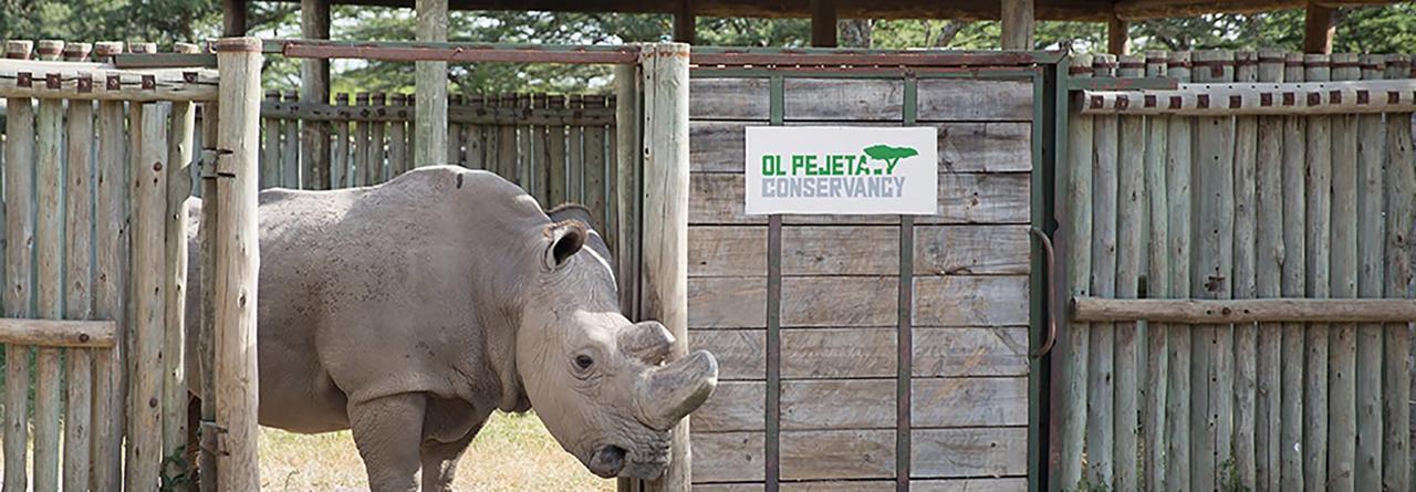 Ol Pejeta Holiday Villas Nanyuki Luaran gambar